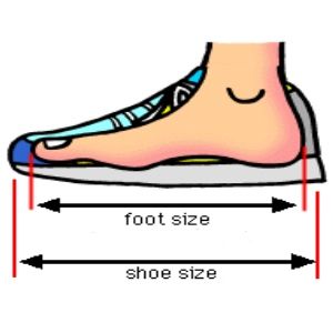 What About Running-Shoe Size | Ultimate 